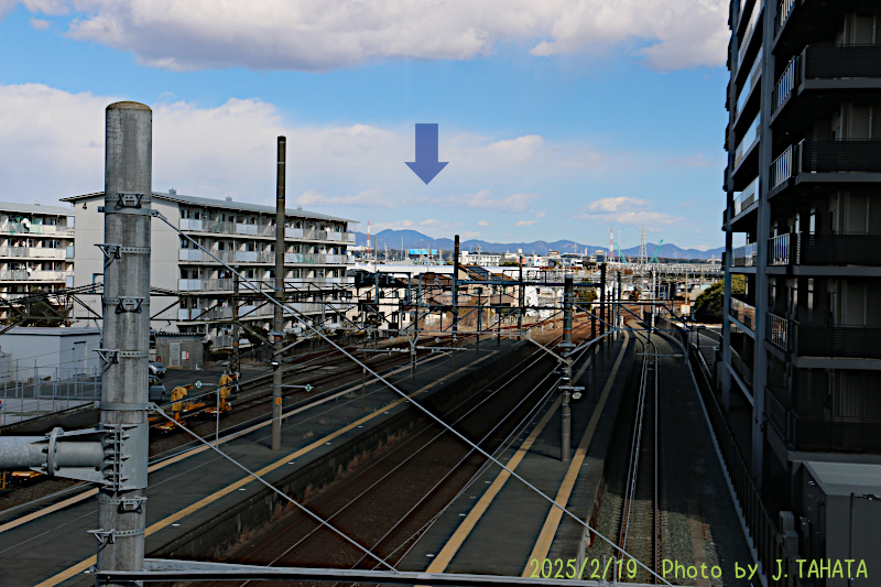 51031033_4