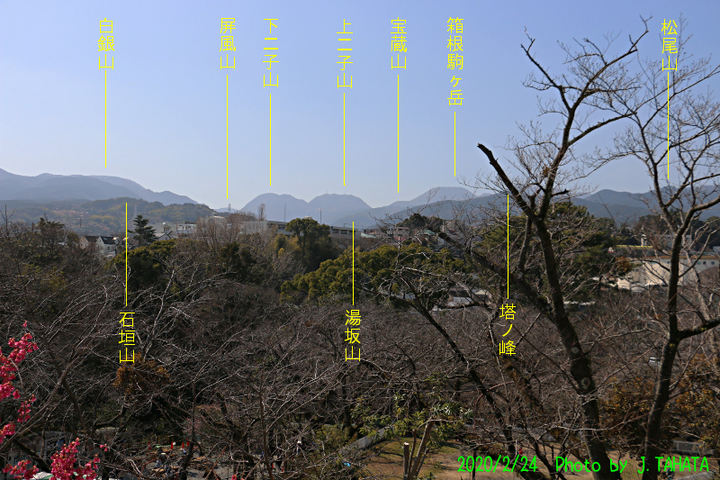 odawara-jo_2