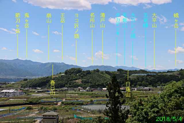 yamanashi-ichikawa_7