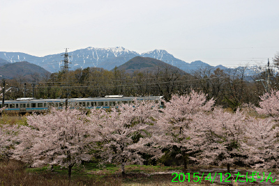 shidaikubo_2