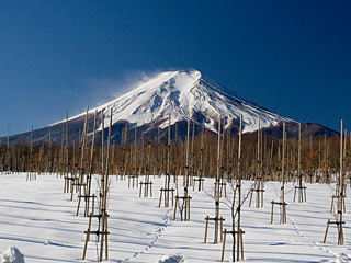 2012年1月31日の富士山写真