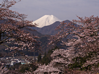 2012年4月13日の富士山写真