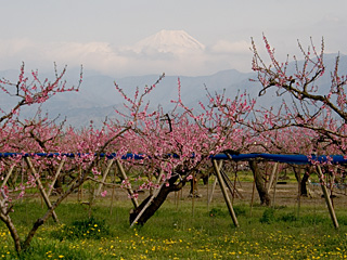 2012年4月21日の富士山写真