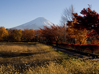 2012年11月12日の富士山写真