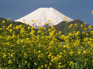 2013年5月7日の富士山写真