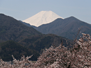 2014年4月7日の富士山写真