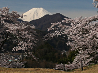 2014年4月11日の富士山写真