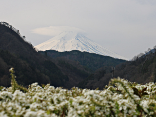 2015年3月29日の富士山写真