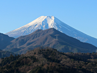 2016年1月10日の写真