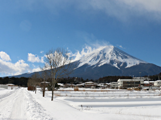 2016年1月24日の写真