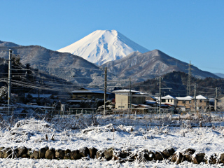 2016年2月7日の写真