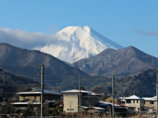 2016年2月16日の写真