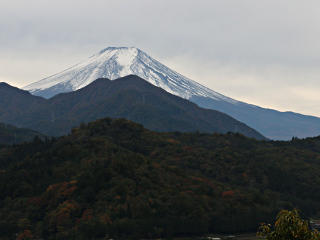 2016年11月10日の写真