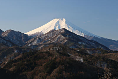 2017年1月18日の写真