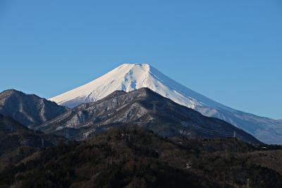 2017年2月12日の写真