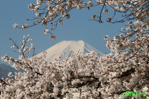 2019年4月6日の富士山