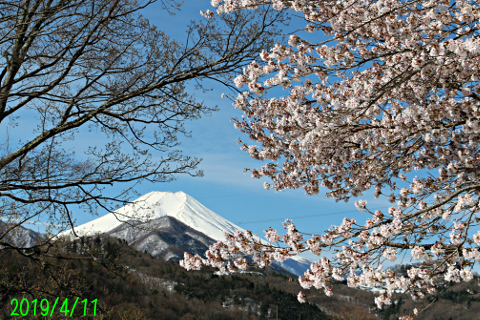 2019年4月11日の富士山