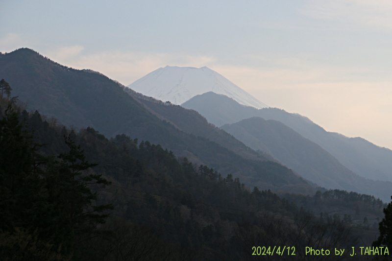 2024年4月12日の富士山写真