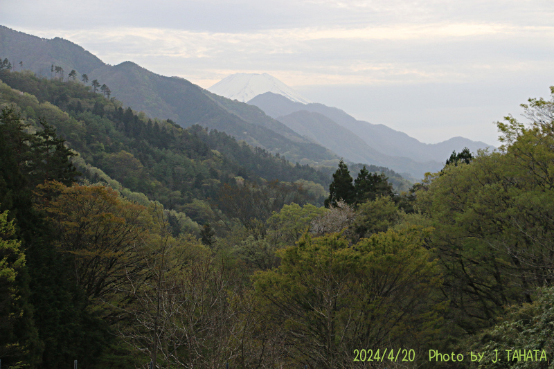 2024年4月20日の富士山写真