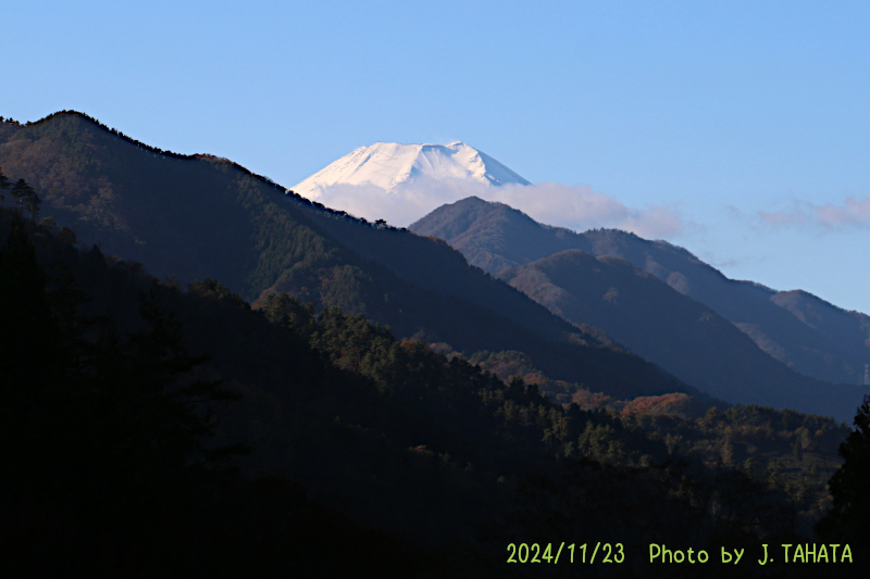 2024年11月23日の富士山写真