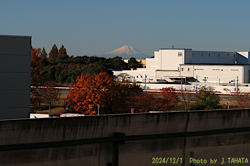 2024年12月1日の富士山写真