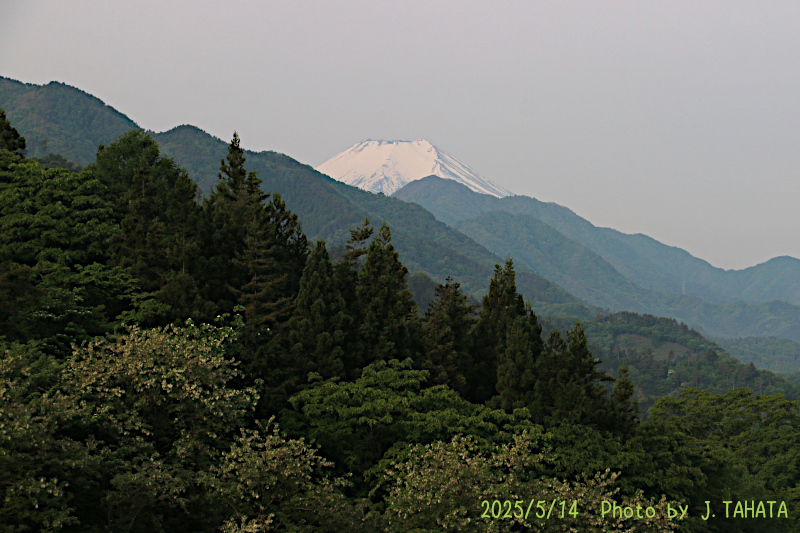 2025年5月14日の富士山写真