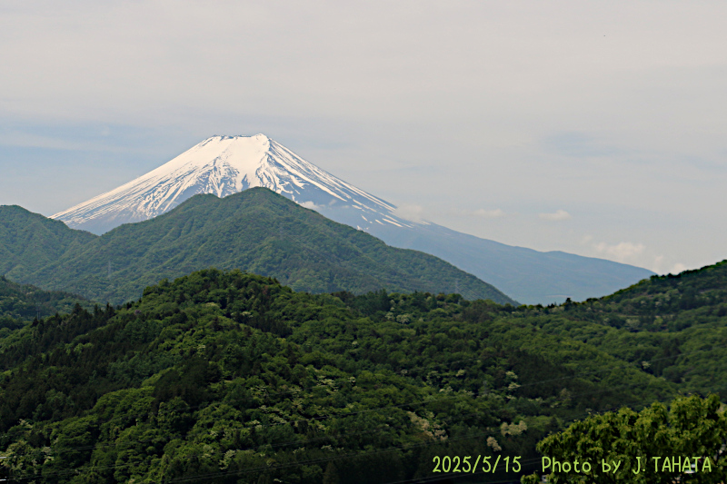 2025年5月15日の富士山写真