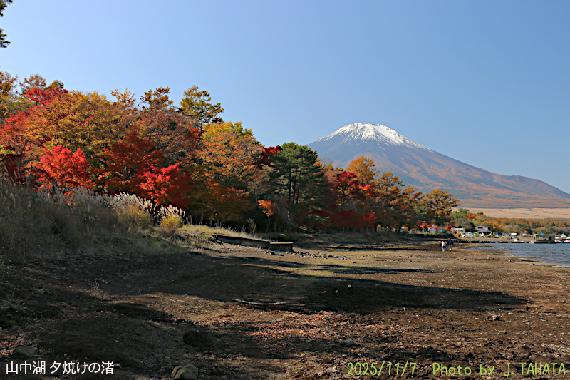 2025年11月7日の富士山写真