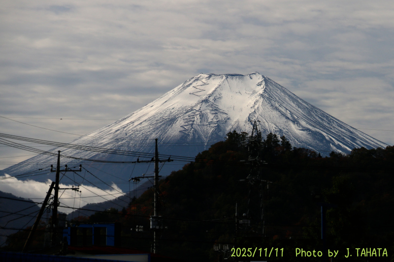 2025年11月11日の富士山写真