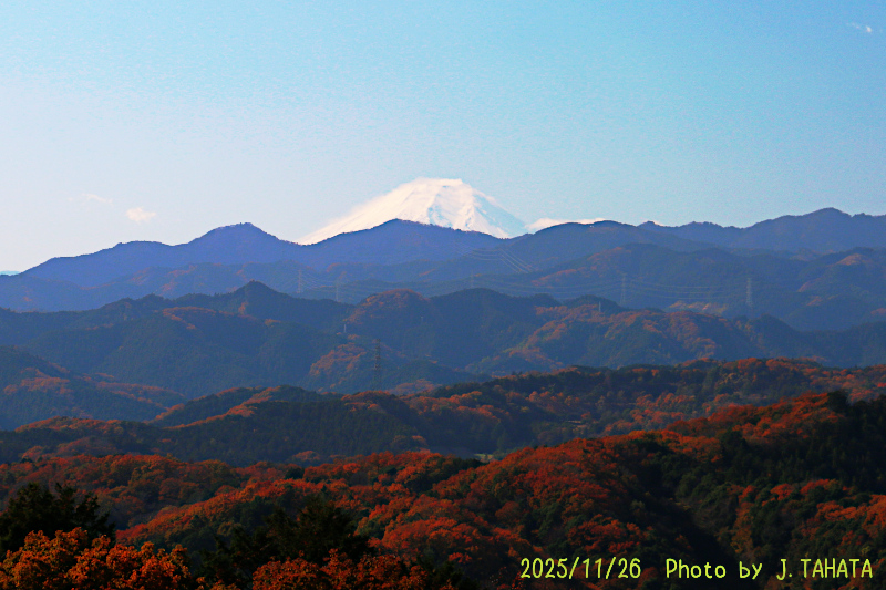 2025年11月26日の富士山写真