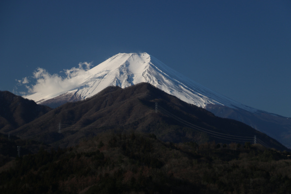 tsuru