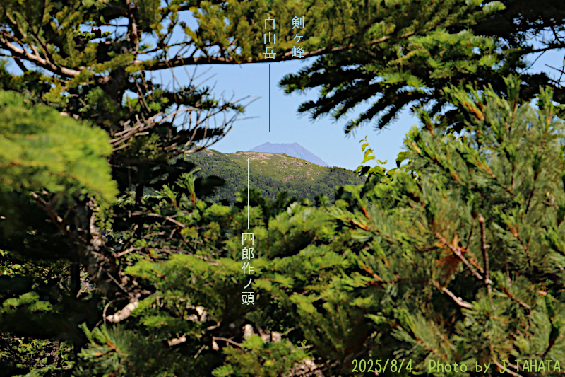 hontaniyama_2