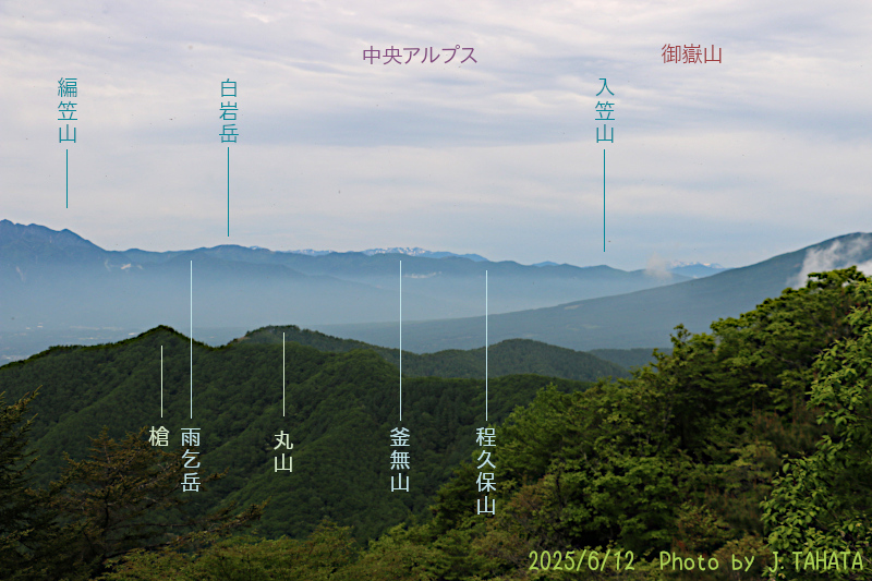 yokoo_11