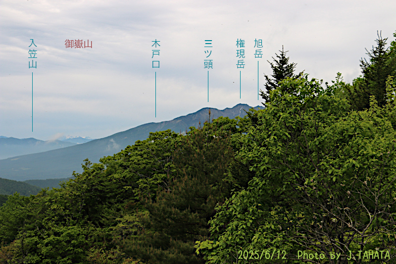 yokoo_12