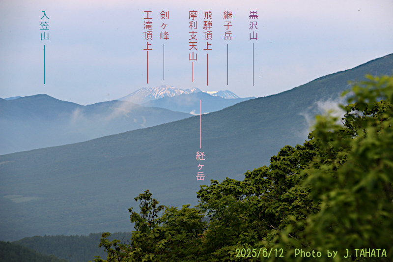 yokoo_16