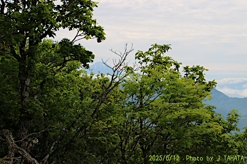 yokoo_17