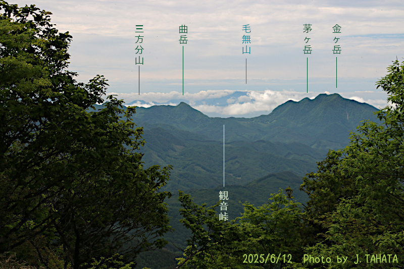 yokoo_18