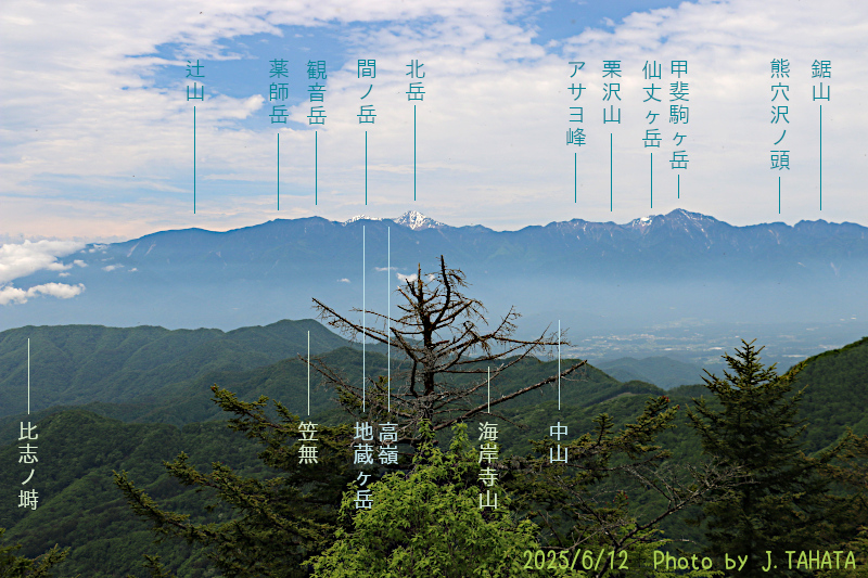 yokoo_9
