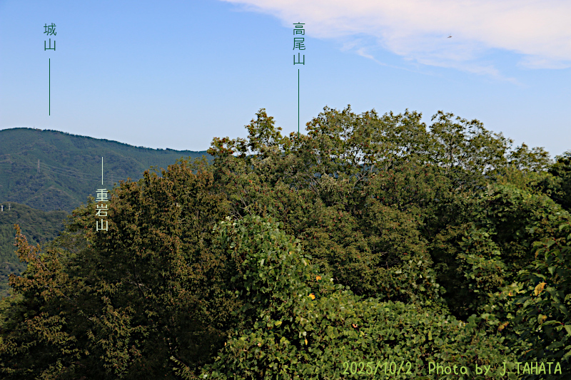 daimyoujin_tenbou_4