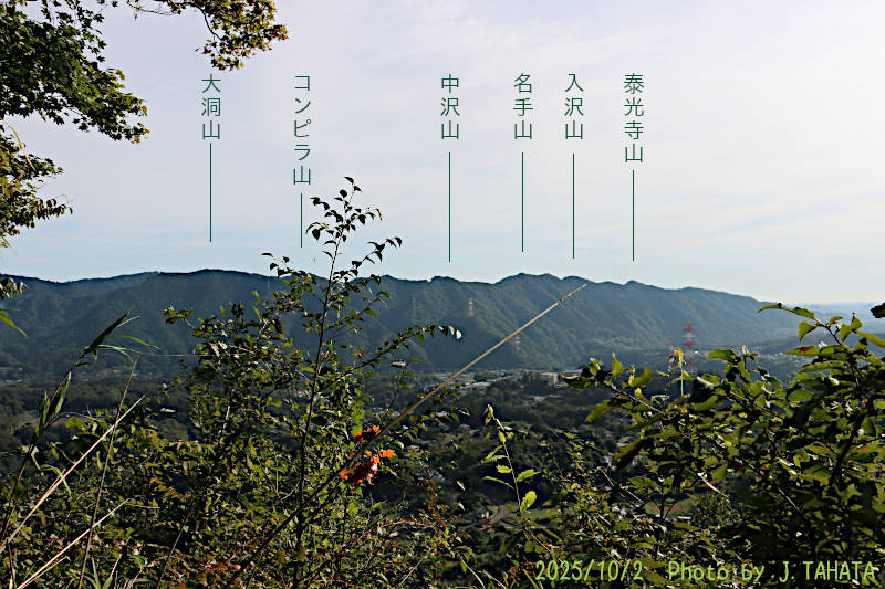 sakurayama_tenbou_1