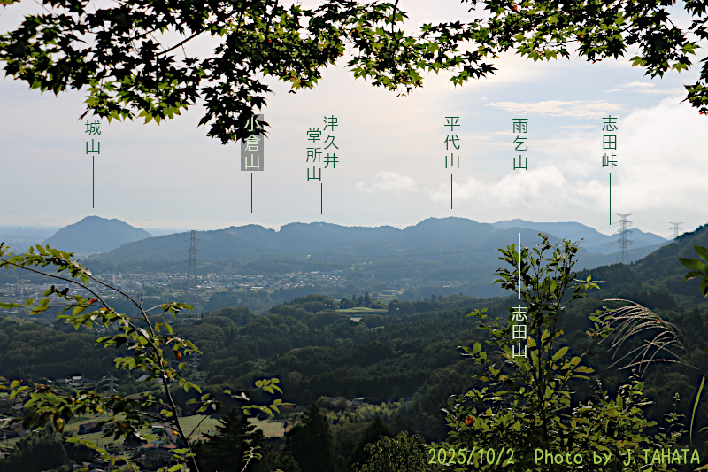 sakurayama_tenbou_3