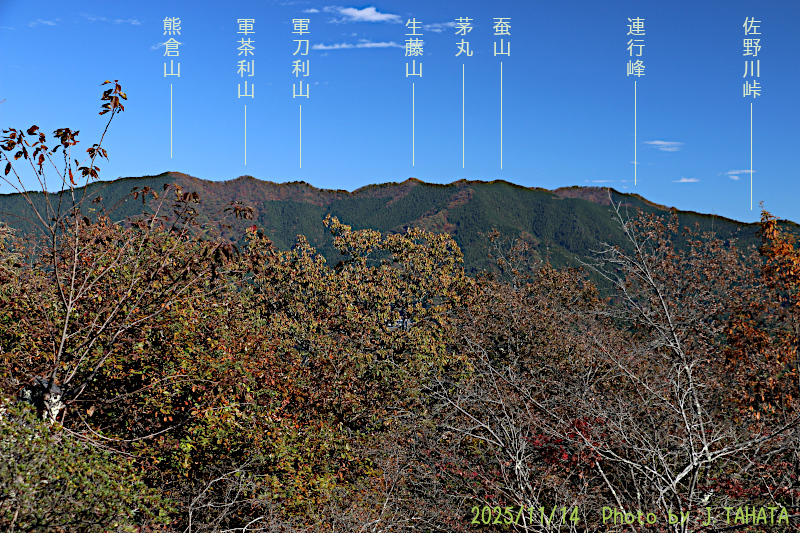 yougaisan-uenohara_1