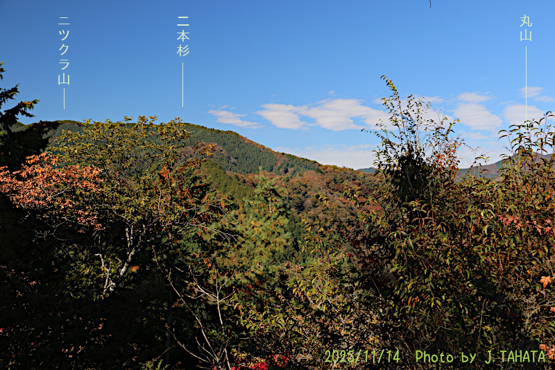 yougaisan-uenohara_11