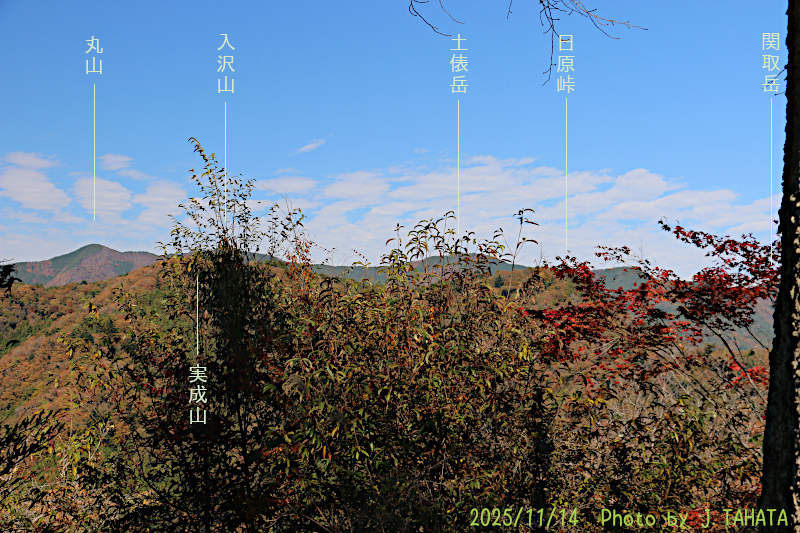 yougaisan-uenohara_12