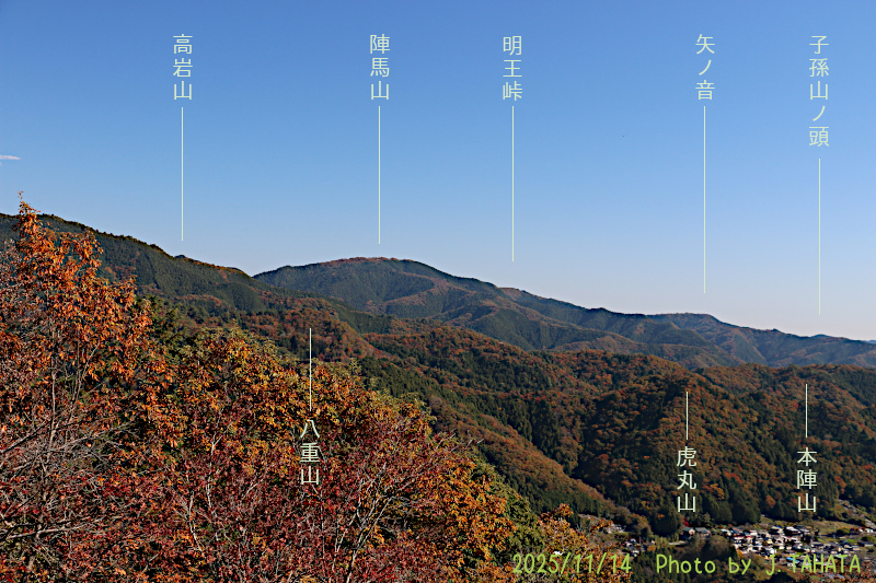 yougaisan-uenohara_2