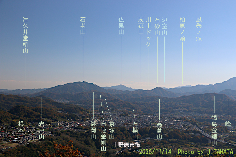 yougaisan-uenohara_4