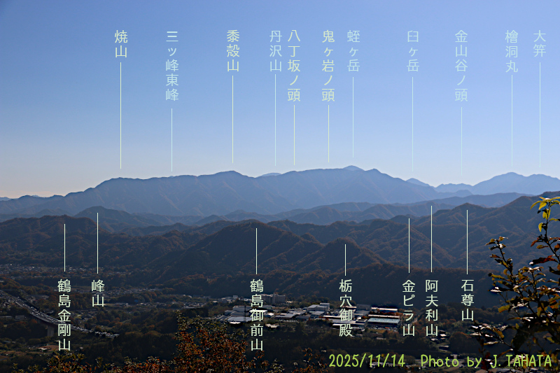 yougaisan-uenohara_5