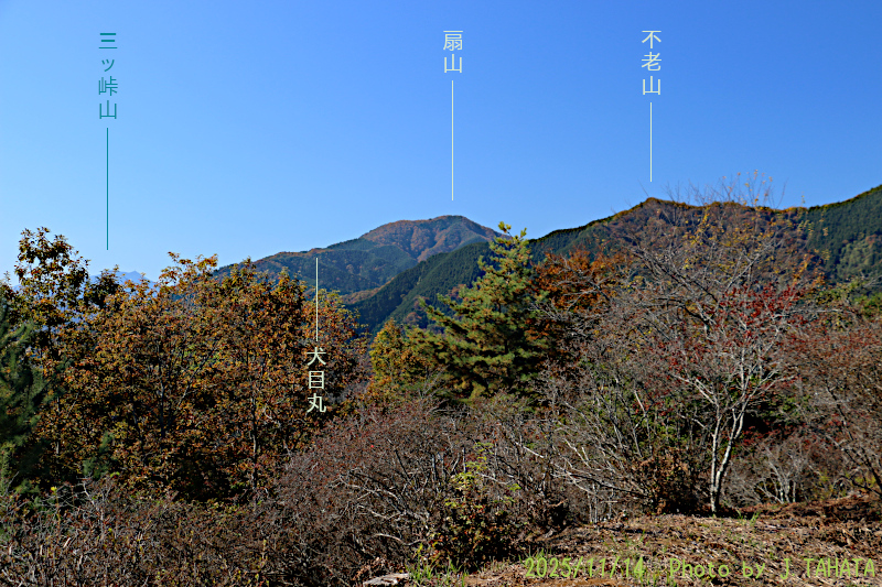 yougaisan-uenohara_9