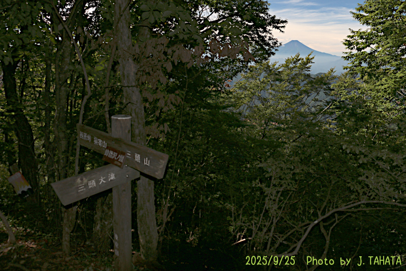 hachizasusawa_3