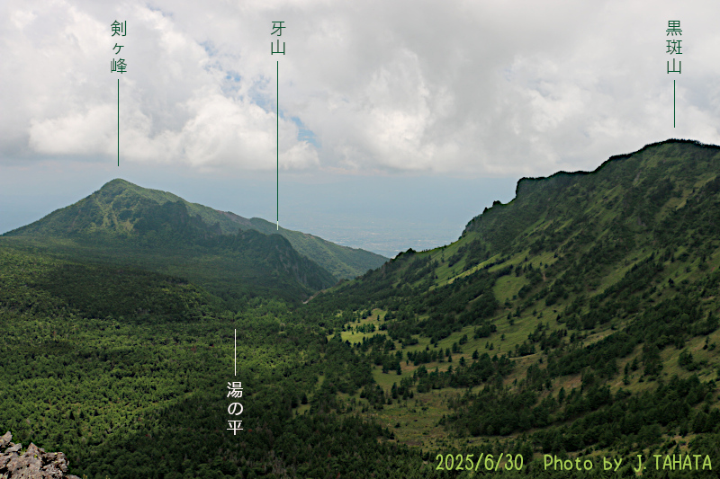 sennindake_1